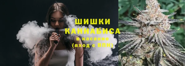 apvp Аркадак