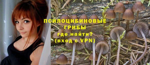 гидропоника Арсеньев