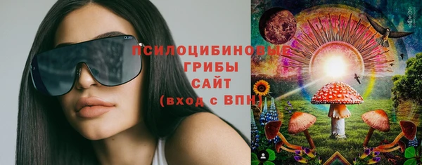 apvp Аркадак