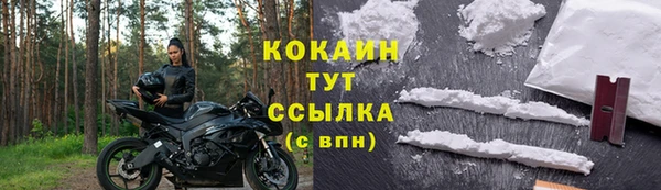 apvp Аркадак