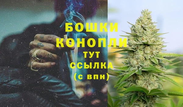 apvp Аркадак