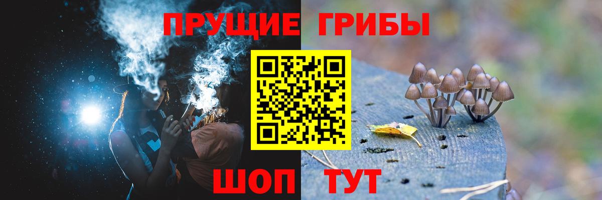 Дедовск  Галлюциногенные грибы GOLDEN TEACHER  Вход с VPN 