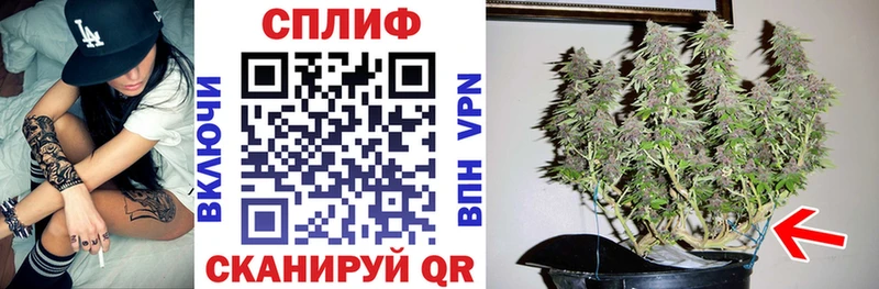 Каннабис White Widow  где продают   кракен ССЫЛКА  Дедовск 